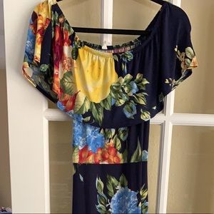 Pinkblush Maternity Dress